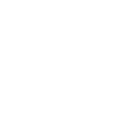 projects